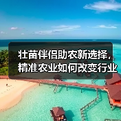 壮苗伴侣助农新选择,精准农业如何改变行业?(图3) 壮苗伴侣助农新选择,精准农业如何改变行业?(图3)