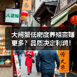 大闸蟹低密度养殖亩赚更多?品质决定利润!(图2) 大闸蟹低密度养殖亩赚更多?品质决定利润!(图2)