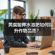 黄腐酸钾水溶肥如何提升作物品质?(图3) 黄腐酸钾水溶肥如何提升作物品质?(图3)