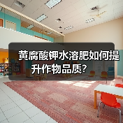 黄腐酸钾水溶肥如何提升作物品质?(图4) 黄腐酸钾水溶肥如何提升作物品质?(图4)