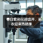 暖冬催生紫荆花提前绽放 春季苗木交易火热-辰飞雨绿源新宇生物 暖冬催生紫荆花提前绽放 春季苗木交易火热-辰飞雨绿源新宇生物