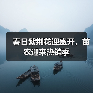 春日紫荆花迎盛开,苗农迎来热销季(图3) 春日紫荆花迎盛开,苗农迎来热销季(图3)