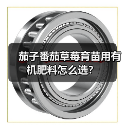 茄子番茄草莓育苗用有机肥料怎么选？（图3）