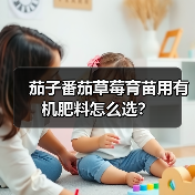 茄子番茄草莓育苗用有机肥料怎么选？（图2）