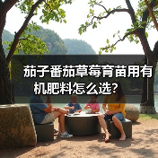 茄子番茄草莓育苗用有机肥料怎么选？（图4）