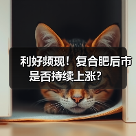 利好频现！复合肥后市是否持续上涨？（图1）