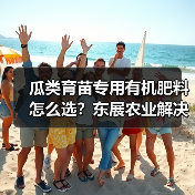 瓜类育苗专用有机肥料怎么选?东展农业解决方案(图2) 瓜类育苗专用有机肥料怎么选?东展农业解决方案(图2)