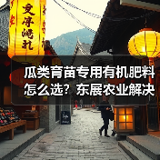 瓜类育苗专用有机肥料怎么选?东展农业解决方案(图3) 瓜类育苗专用有机肥料怎么选?东展农业解决方案(图3)