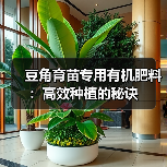 豆角育苗专用有机肥料:高效种植的秘诀(图4) 豆角育苗专用有机肥料:高效种植的秘诀(图4)