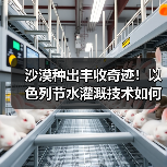 沙漠种出丰收奇迹!以色列节水灌溉技术如何实现农业飞跃? 沙漠种出丰收奇迹!以色列节水灌溉技术如何实现农业飞跃?