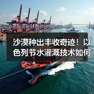 沙漠种出丰收奇迹!以色列节水灌溉技术如何实现农业飞跃?(图4) 沙漠种出丰收奇迹!以色列节水灌溉技术如何实现农业飞跃?(图4)