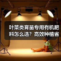 叶菜类育苗专用有机肥料怎么选?高效种植省钱秘籍(图3) 叶菜类育苗专用有机肥料怎么选?高效种植省钱秘籍(图3)