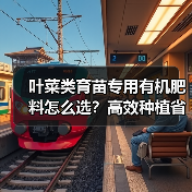 叶菜类育苗专用有机肥料怎么选?高效种植省钱秘籍(图1) 叶菜类育苗专用有机肥料怎么选?高效种植省钱秘籍(图1)