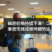 磷肥价格持续下滑！二季度市场或维持弱势运行（图4）