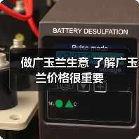 广玉兰价格走势如何影响苗木销售策略?-辰飞雨绿源新宇生物有机 广玉兰价格走势如何影响苗木销售策略?-辰飞雨绿源新宇生物有机