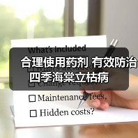 合理使用药剂 有效防治四季海棠立枯病(图4) 合理使用药剂 有效防治四季海棠立枯病(图4)