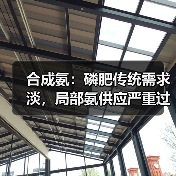 合成氨：磷肥传统需求淡，局部氨供应严重过剩（图2）
