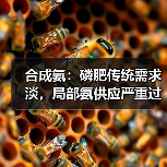合成氨：磷肥传统需求淡，局部氨供应严重过剩（图1）