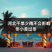 河北干旱少雨不会影响冬小麦过冬(图2) 河北干旱少雨不会影响冬小麦过冬(图2)