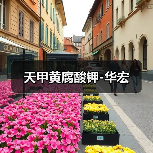 天甲黄腐酸钾-华宏(图3) 天甲黄腐酸钾-华宏(图3)