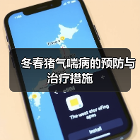 冬春猪气喘病的预防与治疗措施(图2) 冬春猪气喘病的预防与治疗措施(图2)