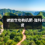 碳能生物有机肥-隆科农资(图2) 碳能生物有机肥-隆科农资(图2)
