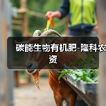 碳能生物有机肥-隆科农资(图3) 碳能生物有机肥-隆科农资(图3)