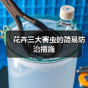 花卉常遇的三种刺吸式害虫如何防治?-辰飞雨绿源新宇生物有机肥 花卉常遇的三种刺吸式害虫如何防治?-辰飞雨绿源新宇生物有机肥