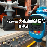 花卉三大害虫的简易防治措施(图3) 花卉三大害虫的简易防治措施(图3)