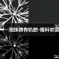 湘珠牌有机肥-隆科农资（图2）