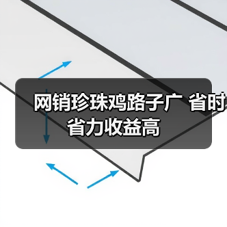 网销珍珠鸡路子广 省时省力收益高（图4）