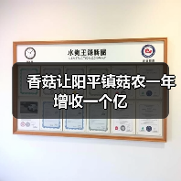 香菇让阳平镇菇农一年增收一个亿(图3) 香菇让阳平镇菇农一年增收一个亿(图3)