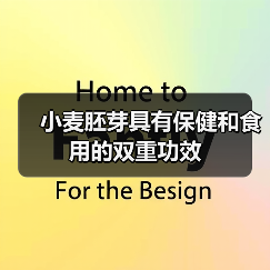 小麦胚芽具有保健和食用的双重功效 小麦胚芽具有保健和食用的双重功效