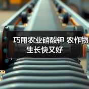 巧用农业硝酸钾 农作物生长快又好（图3）