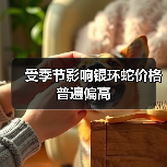 受季节影响银环蛇价格普遍偏高 受季节影响银环蛇价格普遍偏高