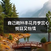 自己栽种丰花月季赏心悦目又怡情(图4) 自己栽种丰花月季赏心悦目又怡情(图4)