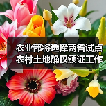 农业部政策解读:农产品质量安全标准与土地流转风险保障金-辰飞 农业部政策解读:农产品质量安全标准与土地流转风险保障金-辰飞