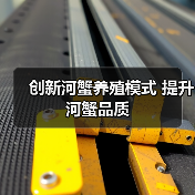 创新河蟹养殖模式 提升河蟹品质（图1）