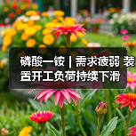 磷酸一铵 | 需求疲弱 装置开工负荷持续下滑(图2) 磷酸一铵 | 需求疲弱 装置开工负荷持续下滑(图2)