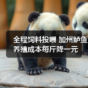 全程饲料投喂 加州鲈鱼养殖成本每斤降一元(图2) 全程饲料投喂 加州鲈鱼养殖成本每斤降一元(图2)