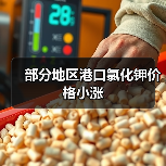 部分地区港口氯化钾价格小涨（图2）