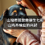 山鸡市场繁荣催生七彩山鸡养殖业的兴起(图4) 山鸡市场繁荣催生七彩山鸡养殖业的兴起(图4)