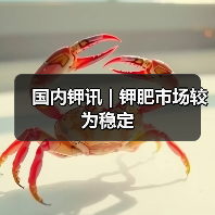 国内钾讯 | 钾肥市场较为稳定(图4) 国内钾讯 | 钾肥市场较为稳定(图4)