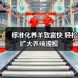 标准化养羊致富快 轻松扩大养殖规模(图3) 标准化养羊致富快 轻松扩大养殖规模(图3)