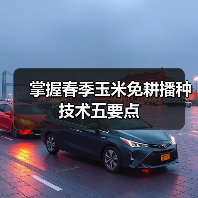掌握春季玉米免耕播种技术五要点(图4) 掌握春季玉米免耕播种技术五要点(图4)