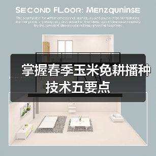 掌握春季玉米免耕播种技术五要点(图2) 掌握春季玉米免耕播种技术五要点(图2)