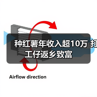 种红薯年收入超10万 打工仔返乡致富（图1）