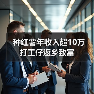 种红薯年收入超10万 打工仔返乡致富（图3）