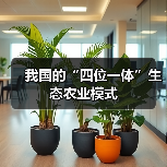 我国的“四位一体”生态农业模式（图3）