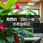 我国的“四位一体”生态农业模式（图4）